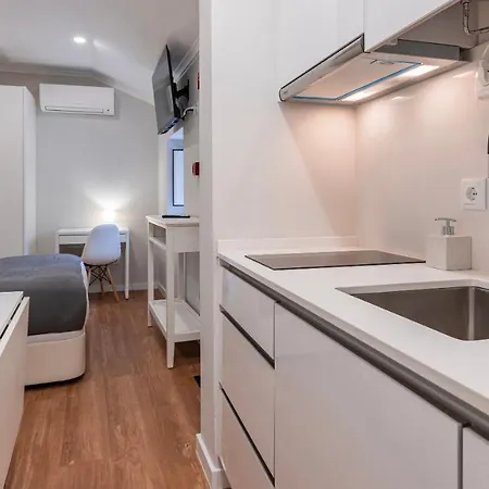 Noah's Ark By Lovelystay